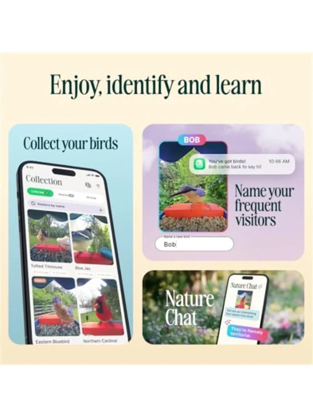 Solar Smart Bird Feeder with Camera - AI Bird Species Identification, 5MP Photos